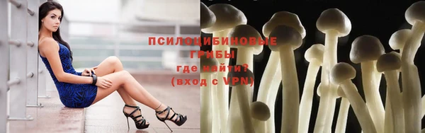 PSILOCYBIN Абдулино