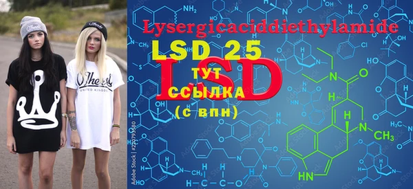 PSILOCYBIN Абдулино