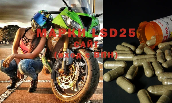 PSILOCYBIN Абдулино