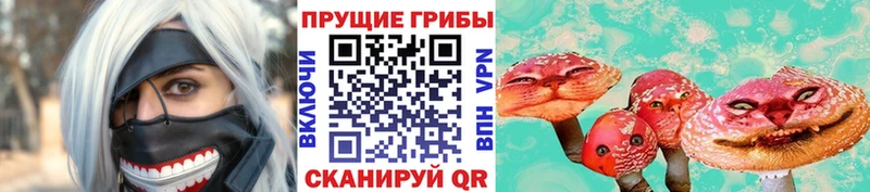 MEGA вход Судогда Псилоцибиновые грибы Magic Shrooms